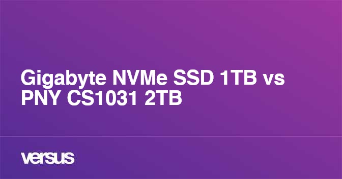 Gigabyte NVMe SSD 1TB vs PNY CS1031 2TB: What is the difference?