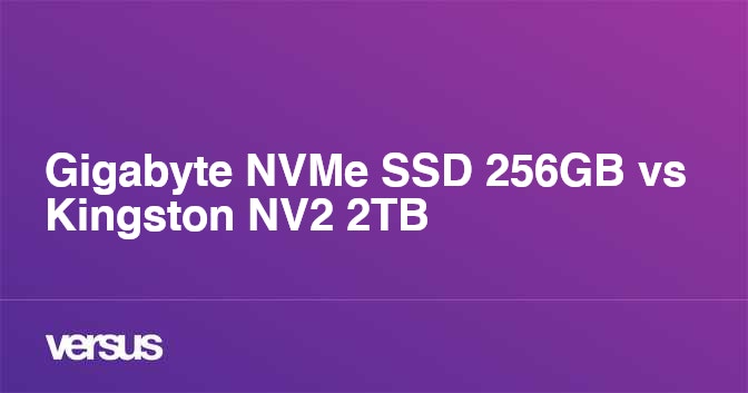 Gigabyte 2025 ssd 256gb